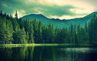 Wallpaper Elementary Os