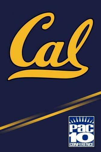 California Bear iPhone Wallpaper Cal Bears