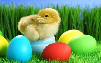 Happy Easter Funny Pictures