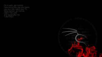 Kali Linux 3d Wallpaper