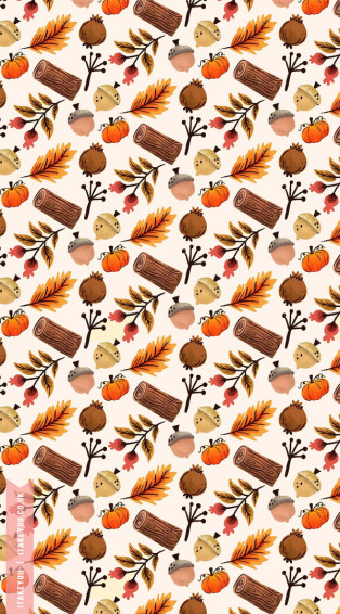Cute Autumn Wallpaper To Brighten Your Devices