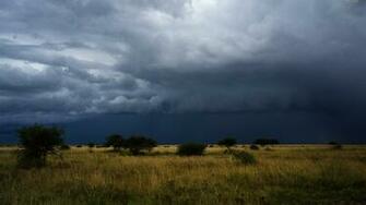 Dark Storm Clouds Trees Field Desktop Pc And Mac