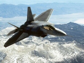 Raptor Wallpaper F Desktop