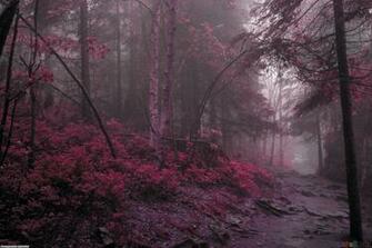 Widescreen Wallpaper Mystical