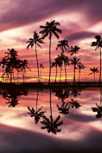 Sunset Over The Ala Moana Beach Park Honolulu Oahu Hawaii