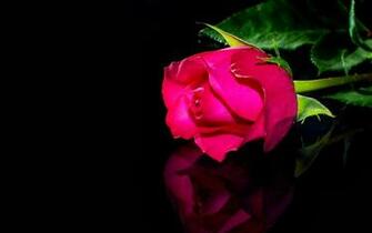Roses Flower Background Template For Invitations Greeting