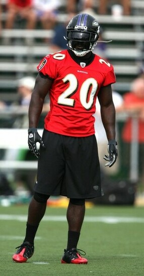 Ed Reed Height HD Wallpaper Football
