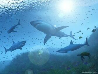 Wallpaper HD Desktop Widescreen Cool Funny