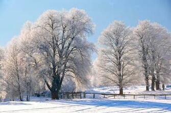 Desktop Wallpaper Winter Landscapes Techrepublic
