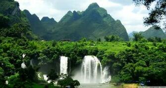 Tropical Rainforest Wallpaper Scroll