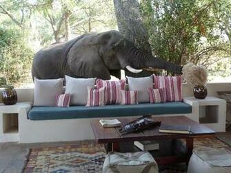 Gonge River Camp Lower Zambezi Nationalpark Zambia Travel