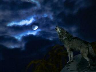 White Wolf Howling At Full Moon Wallpaper HD