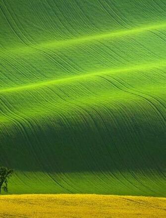 Spring In South Moravia Wallpaper For Microsoft Surface
