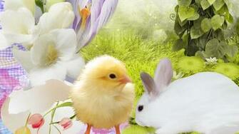 Easter Chick Wallpaper