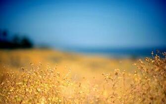 Summer Sky Wallpaper Stock Photos