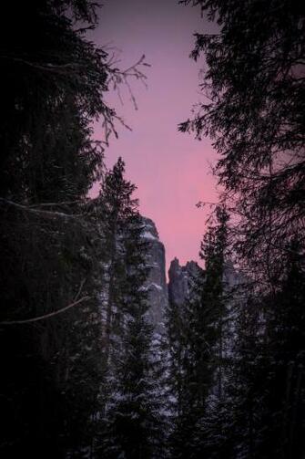 Valentines Winter Seasonal Aesthetic Photography Stock
