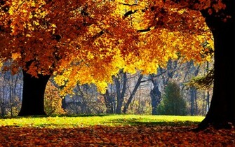 Fall Desktop Wallpaper Background In HD