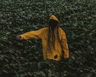 Hoodie Leaves Raincoat Green Wallpaper