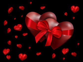 Picture Photography Portrait Gallery Wallpaper