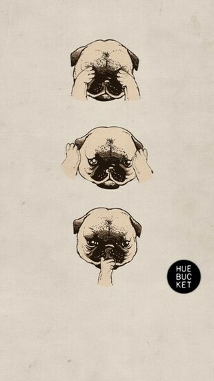 Pug Wallpaper Recherche Google