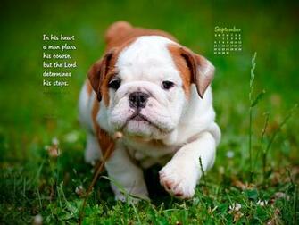 September Proverbs