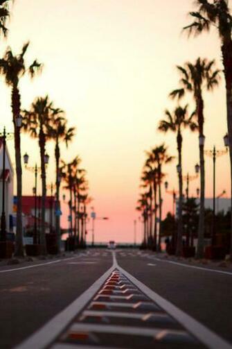 Santa Monica iPhone Wallpaper Photography Travel California
