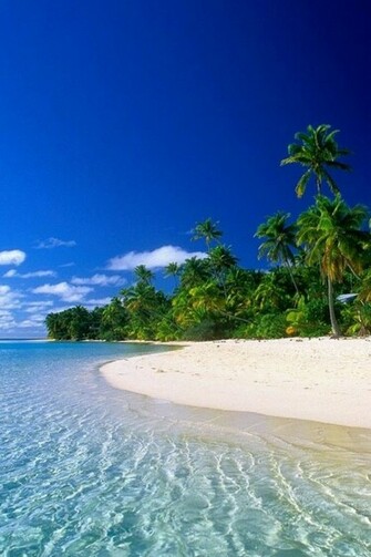 Nature Wallpaper For iPhone Pictures And