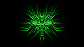 Dark Green Wallpaper