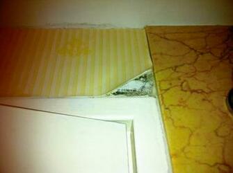 Mold Wallpaper