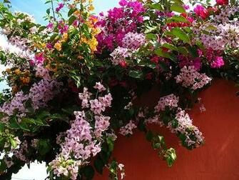 Tomorrow The La Antigua Guatemala Daily Photo Lagdp Will Be Two