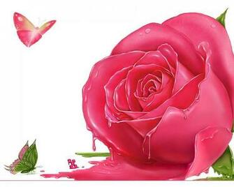 Roses Pics Of Pink Background Wallpaper