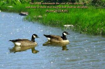 Bible Verse Greetings Card Wallpaper Mobile