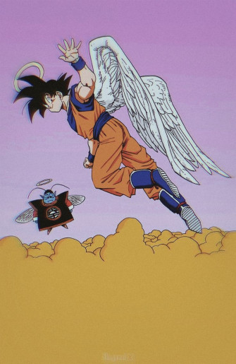 Paraiso Dragon Ball Artwork Art