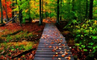 Desktop Wallpaper Fall Colors In HD