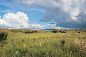 Out Over The Grassland Huachuca Mountains Are In Background