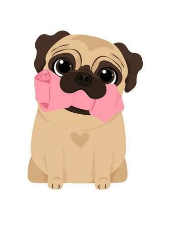 Best Pug Wallpaper Ideas Only