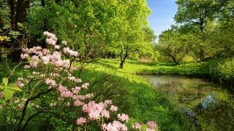 Wallpaper Nature Mac