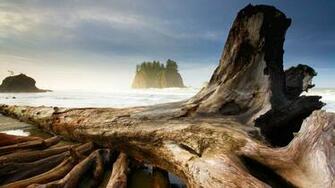 Bing Wallpaper Archive