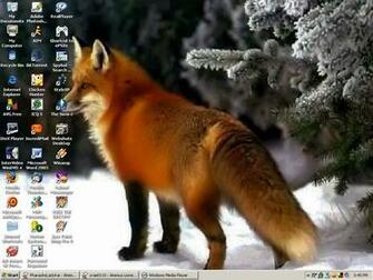 Pin Red Fox Desktop Wallpaper Pre Wallcapernet