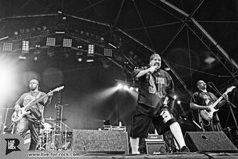 Suicidal Tendencies Discography Videos Mp3