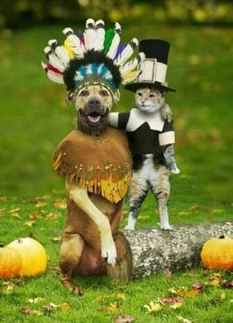 Thanksgiving Myspace Funny Pictures Codes