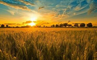 Farm Scenery Wallpaper At Wallpaperbro