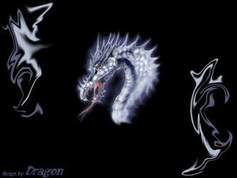 Cartoon Picture Dragon Head Wallpaper