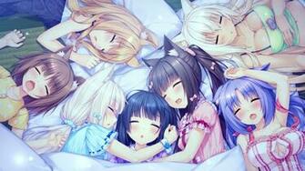 Shigure Minaduki Azuki Maple Nekopara Cinnamon Coconut Wallpaper