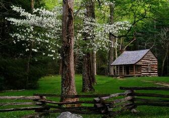 Mountain Cabin Wallpaper Carter Shield S With