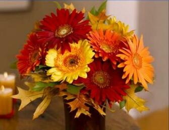Autumn Flowers Wallpaper