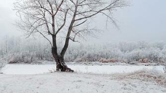 HD Winter Love Wallpaper Net