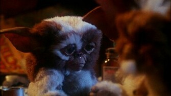 Gizmo Gremlins Wallpaper