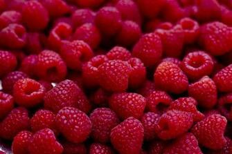 Raspberry Background Wallpaper Baltana