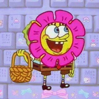 Photos On Instagram Photosjoy